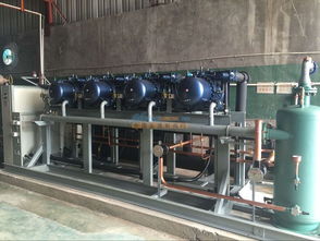 甘肃销量领先的冷库技术与张掖冷库机械设备安装销售指南